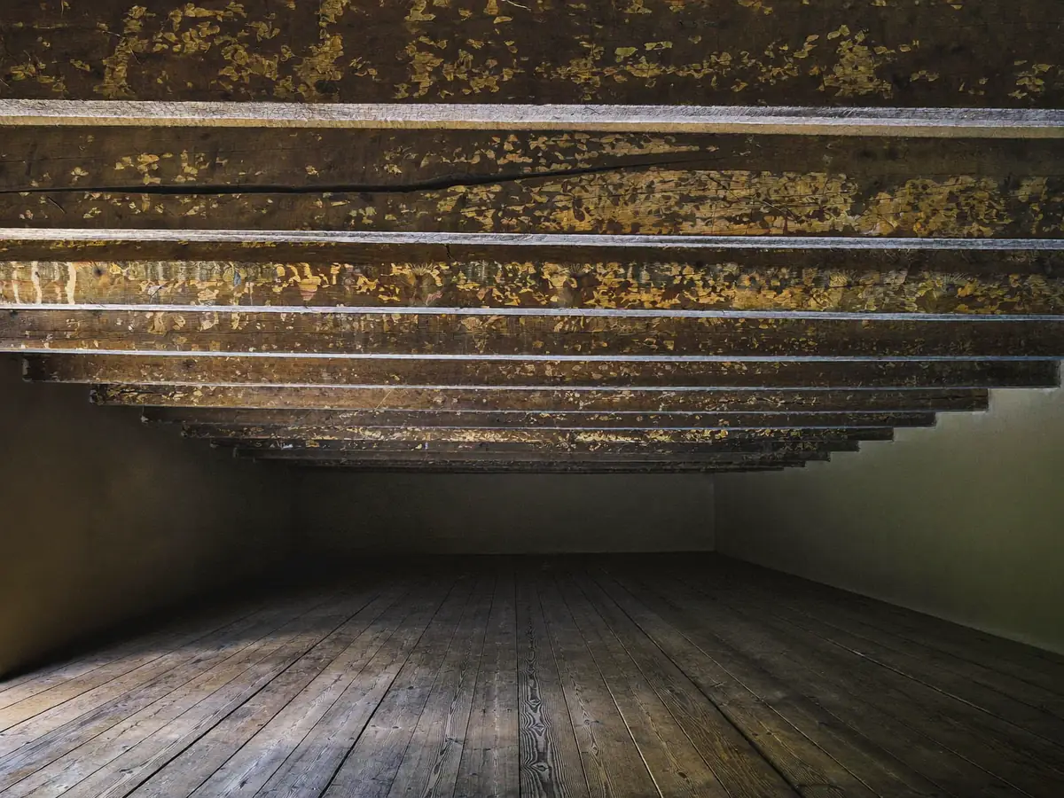 Old timber ceiling beams with cracks and moisture staining